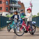 Frog City 53 Lightweight Kids Urban Bike
