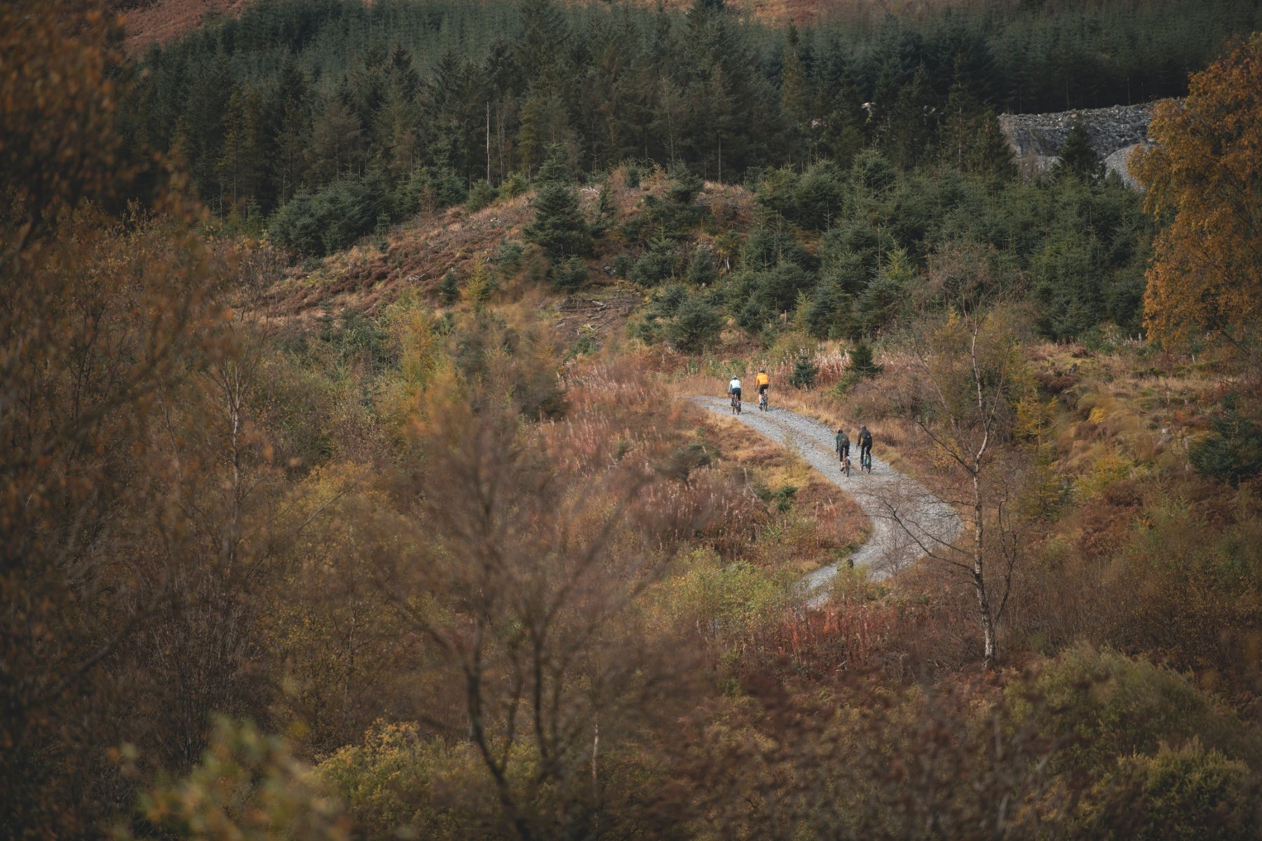 Cycling on a forest gravel path