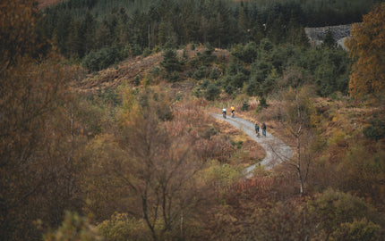 Cycling on a forest gravel path