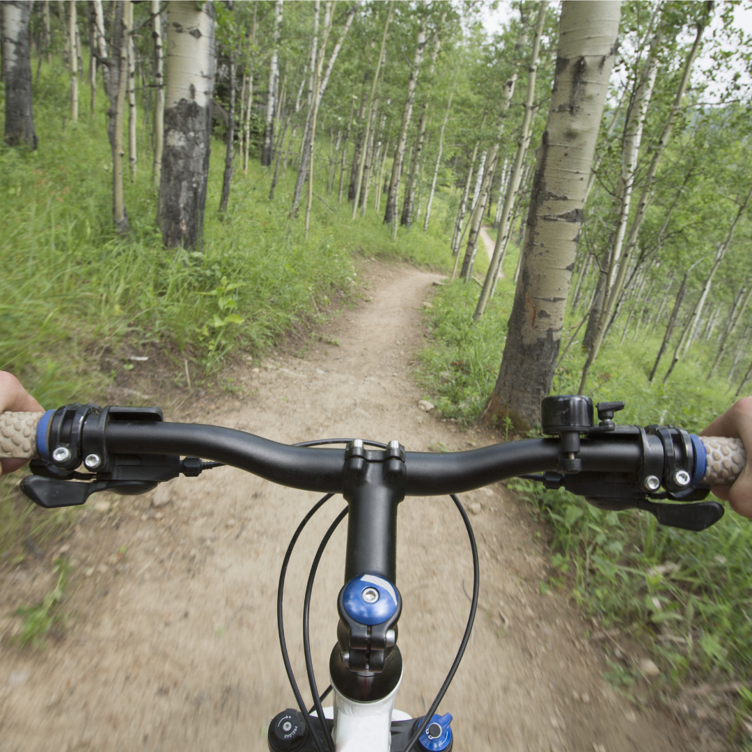 Best Trails For Mountain Bikes