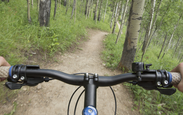 Best Trails For Mountain Bikes
