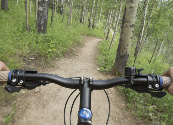 Best Trails For Mountain Bikes
