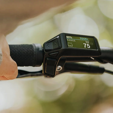 Bosch Purion 200 Display