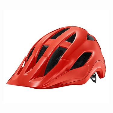 Giant Roost Helmet