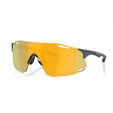 Oakley Cybr Dino Sunglasses