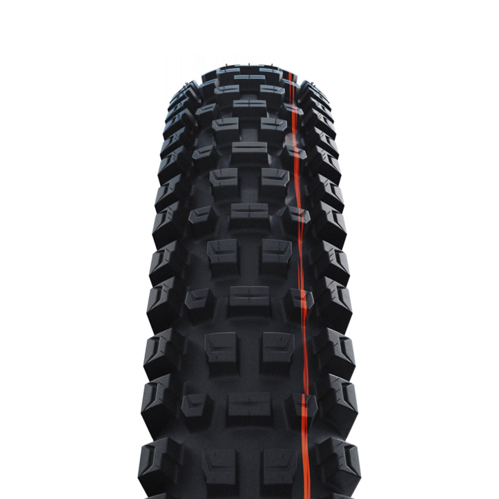 Schwalbe Albert Gravity Pro 29x2.50 Evo TLR Soft (Neu und originalverpackt) in Oberengstringen Schwalbe Albert Gravity Pro 29x2.50 Evo TLR Soft (Neu und originalverpackt) in Oberengstringen