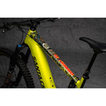 DYEDbro E-Bike Frame Protection Kit - RRR X DYEDbro