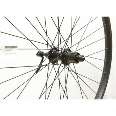 Cycle Division 26" Rear QR Wheel - Shimano Cassette