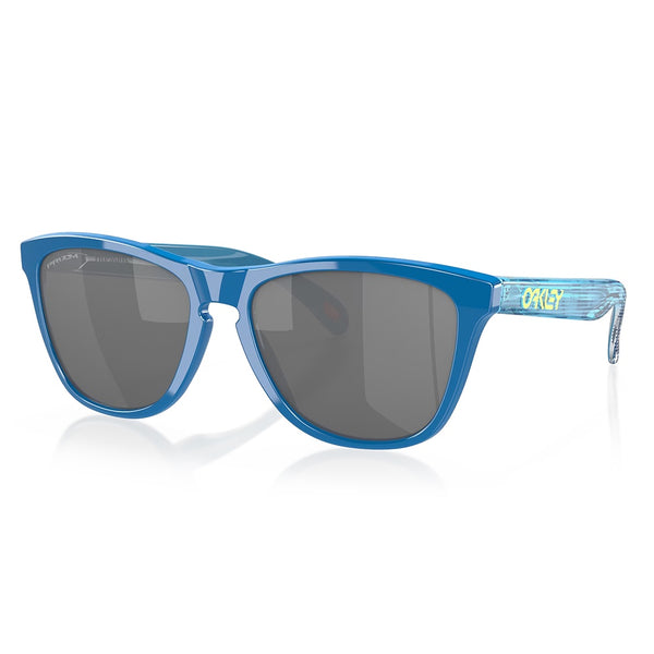 Oakley Frogskins High Resolution Collection Sunglasses