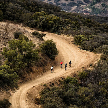 Trek Checkpoint SL 5 Carbon Gravel Road Bike 2024
